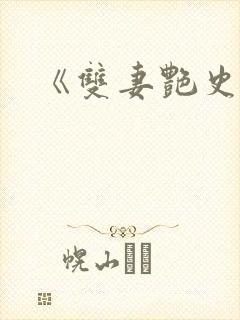 《双妻艳史》封面