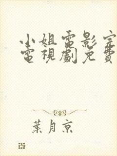 小姐电影完整版电视剧免费高清下载