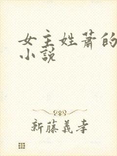 女主姓萧的现代小说封面