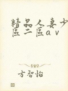 精品人妻少妇一区二区aⅴ
