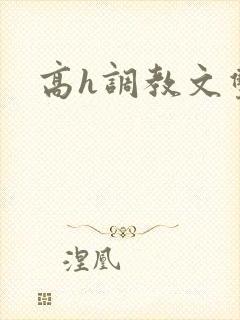 高h调教文双性