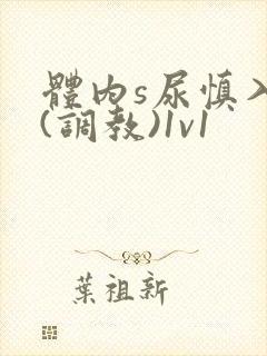 体内s尿慎入h(调教)1v1