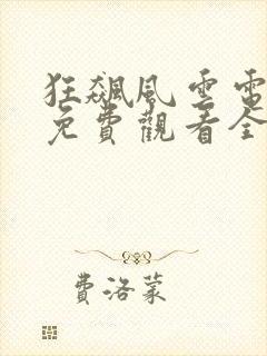 狂飙风云电视剧免费观看全集