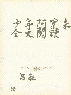 少年阿宾未删减全文阅读封面