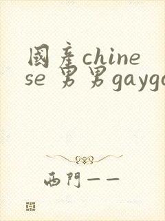国产chinese 男男gaygay网站封面