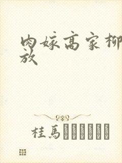 肉嫁高家柳家播放