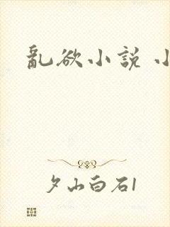 乱欲小说 小说