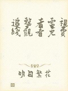 追击者电视剧在线观看免费观看完整版