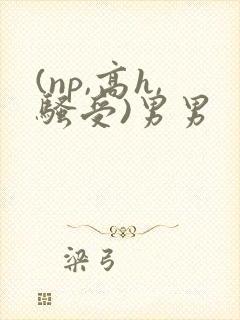 (np,高h,骚受)男男
