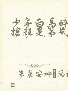 少年白马醉春风抢亲是第几集封面