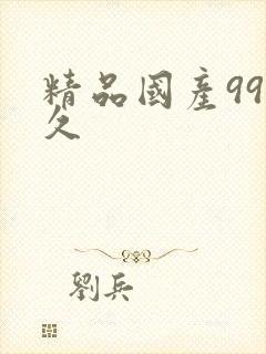 精品国产99久久