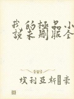 我的极品小姨小说未删版全文免费阅读封面