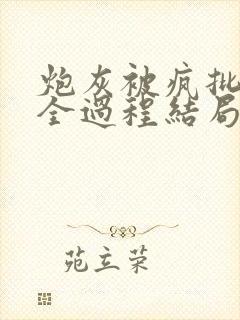 炮灰被疯批爱的全过程结局封面