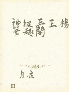 神级兵王杨破军笔趣阁