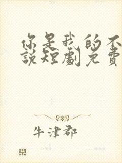 你是我的不可言说短剧免费播放全集
