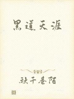 黑道天涯封面