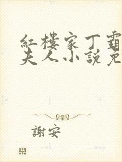 红楼家丁霸占王夫人小说免费阅读