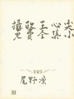 摄政王心尖宠妃免费全集小说封面