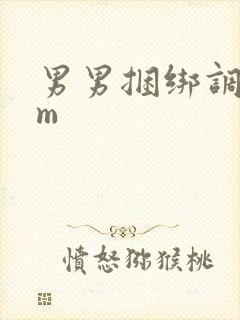 男男捆绑调教sm