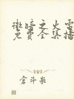 微暗之火电视剧免费全集播放