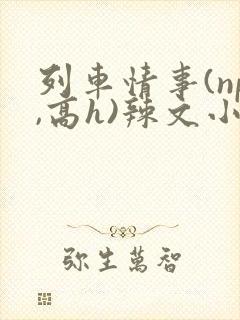 列车情事(np,高h)辣文小