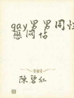gay男男同性恋网站封面