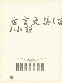 古言文集(高h)小说