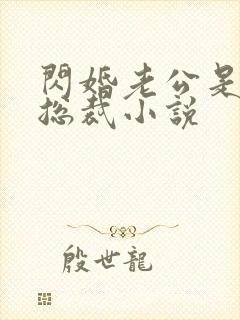 闪婚老公是千亿总裁小说