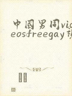 中国男同videosfreegay视频