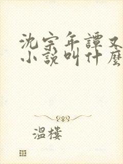 沈宗年谭又明的小说叫什么