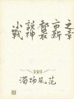 小说都市之狂婿战神最新章节
