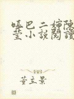 哑巴二婶陈浩小莹小说阅读封面