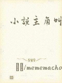 小说主角叫秦峰