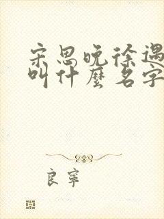 宋思晚徐遇小说叫什么名字最新章节封面