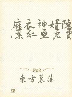 麻衣神婿陈黄皮,叶红鱼免费阅读全部