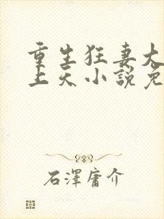 重生狂妻大佬宠上天小说免费听书