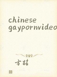 chinesegaypornvideos