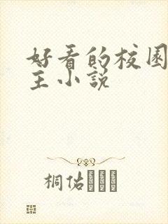 好看的校园双男主小说