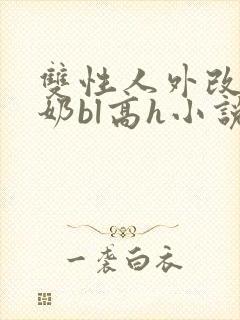 双性人外改造大奶bl高h小说