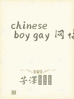 chinese boy gay 网站封面