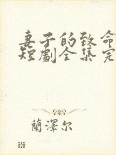 妻子的致命谎言短剧全集完整版