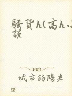 骚货h(高h小说