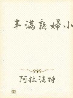 丰满熟妇小说封面