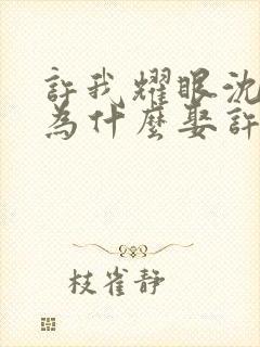 许我耀眼沈皓明为什么娶许妍