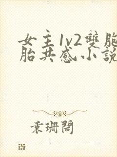 女主1v2双胞胎共感小说