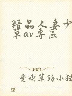 精品人妻少妇嫩草av专区