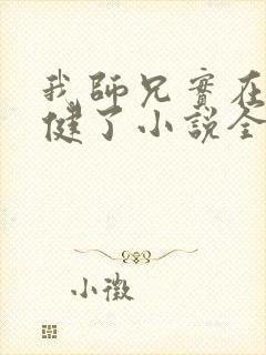 我师兄实在太稳健了小说全本免费