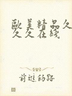 欧美精品久久久久久在线