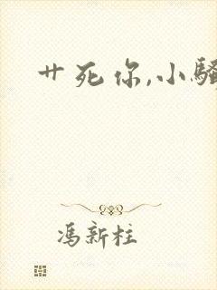 艹死你,小骚货封面