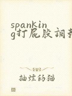 spanking打屁股调教打肿